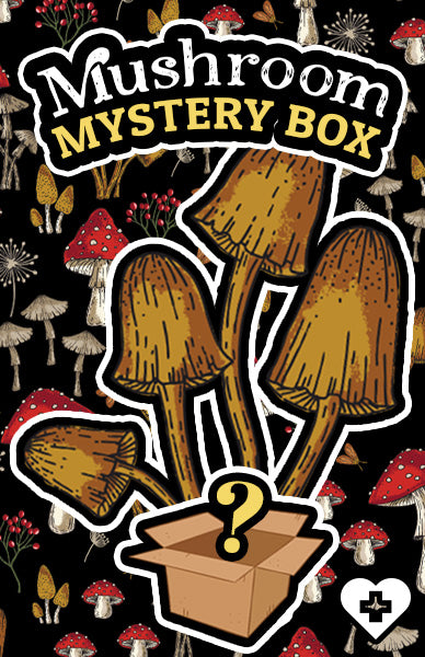 NEW MUSHROOM MYSTERY BOX LIVE NOW!