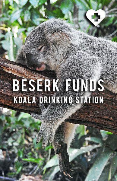 BESERK FUNDS KOALA DRINKING STATION - Beserk