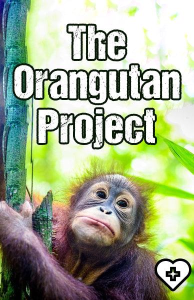 The Orangutan Project - Beserk