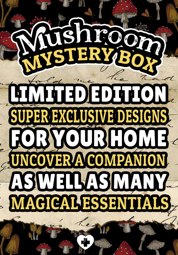 Mushroom | 2024 BESERK MYSTERY BOX [LIMITED]