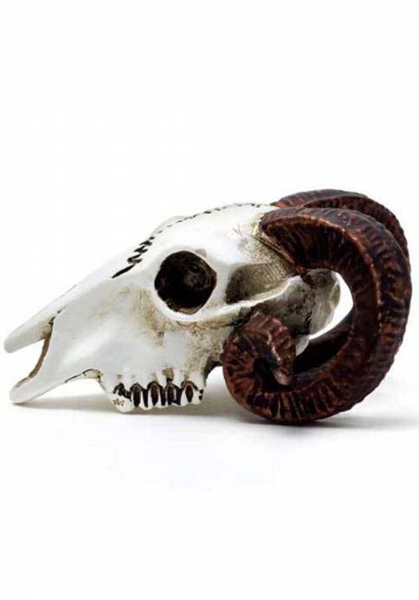 Rams Skull | MINIATURE