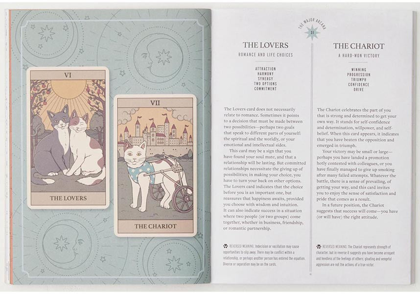 Cats Rule The Earth | TAROT DECK &amp; GUIDEBOOK