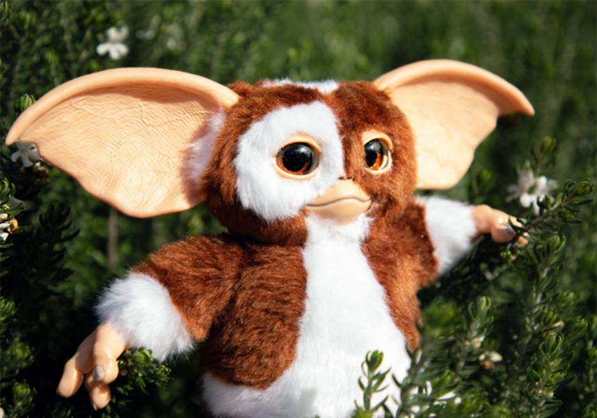 Gremlins: Replica Gizmo | PLUSH