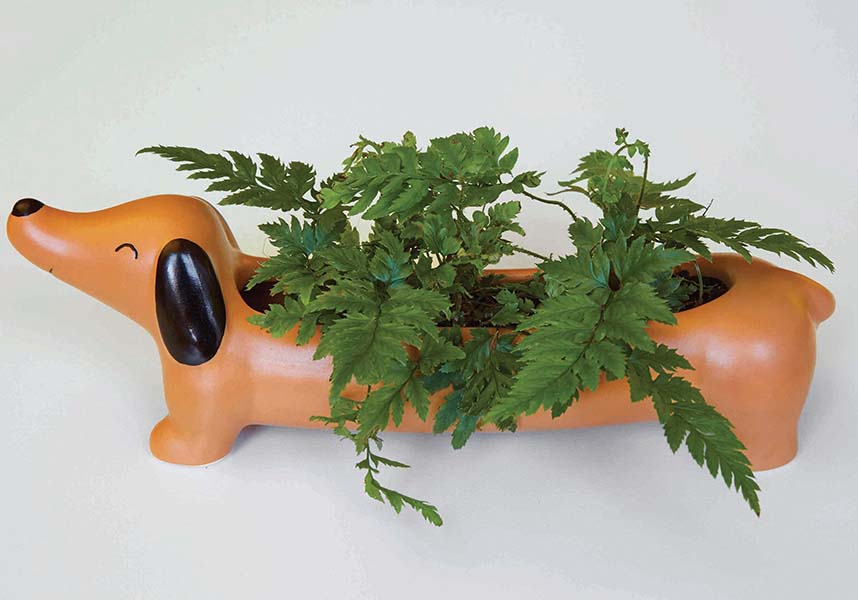 Daisy The Dachshund | PLANTER