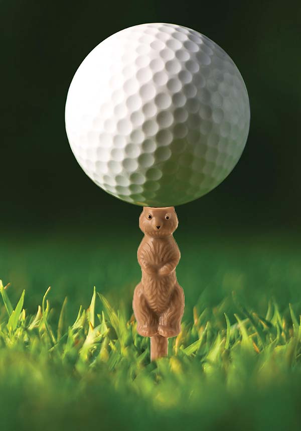 Gopher the Caddy | GOLF TEE (FAULTY)**