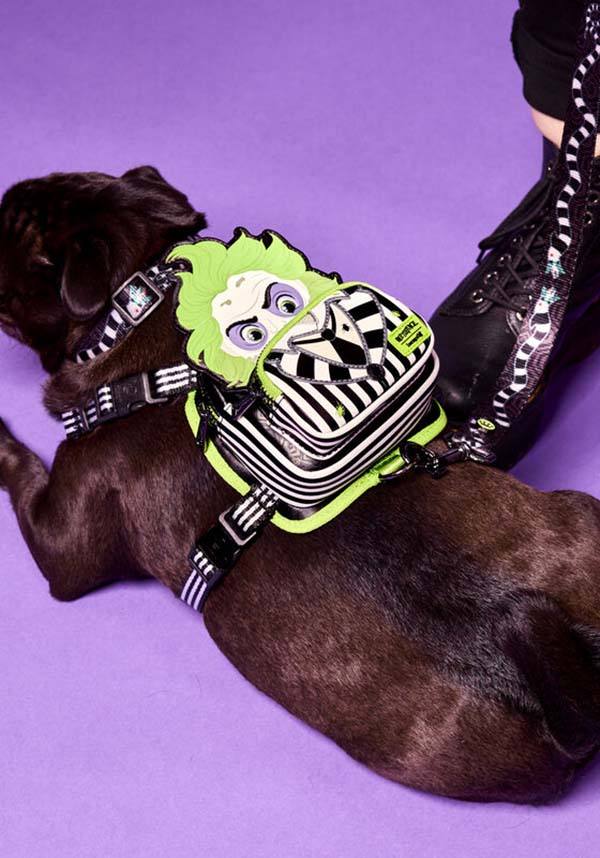 Beetlejuice: Mini Backpack | DOG HARNESS [LARGE]