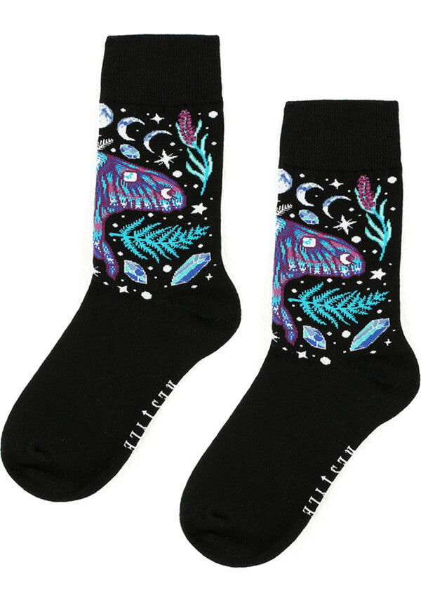 Enchanted Forest | SOCKS