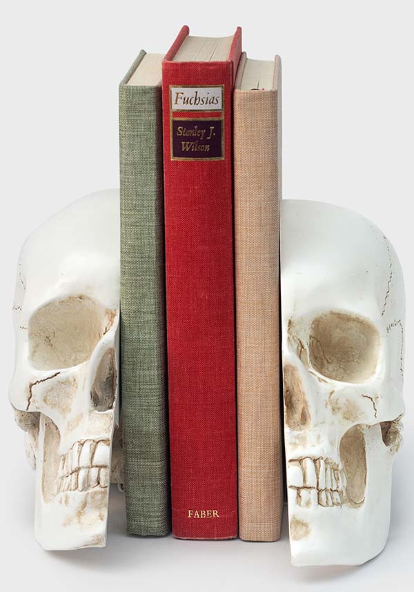 Skull | BOOKENDS