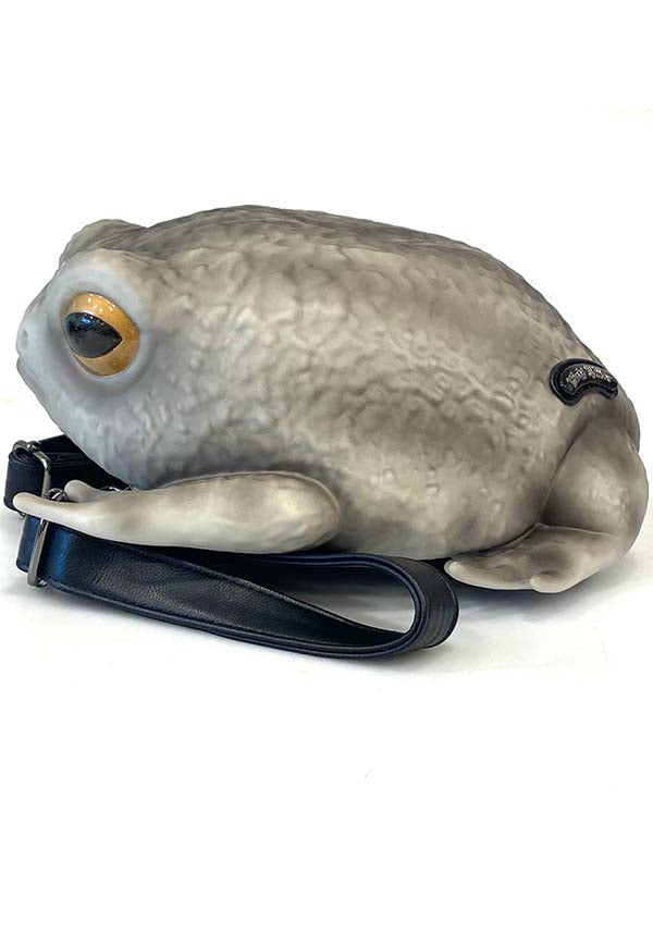 Rain Frog [Grey] | BACKPACK